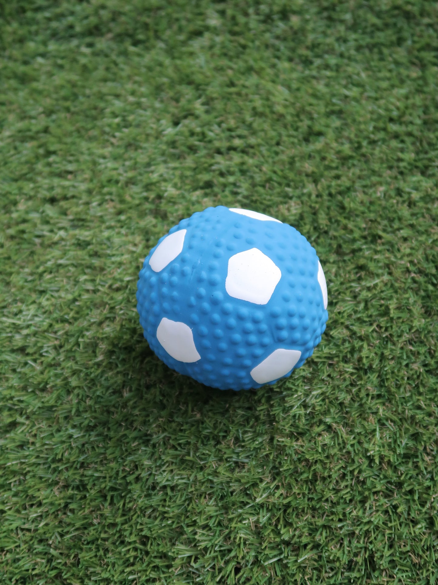 Dog Squeaky Toys - Ball Collection