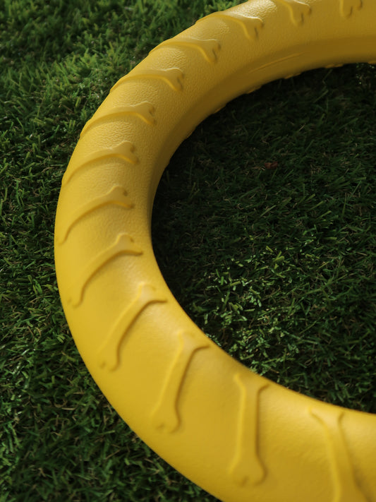 EVA Dog Fitness Ring