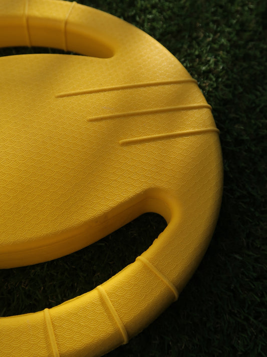 EVA Dog Tug and War Ring & Frisbees