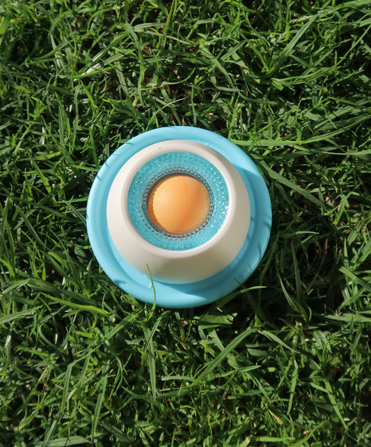 Licki Bowl™