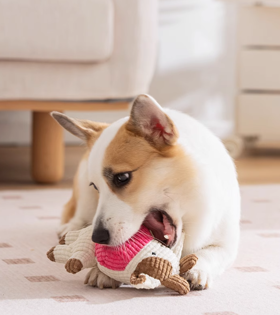 Moo Moo Squeaky Plushy Toy