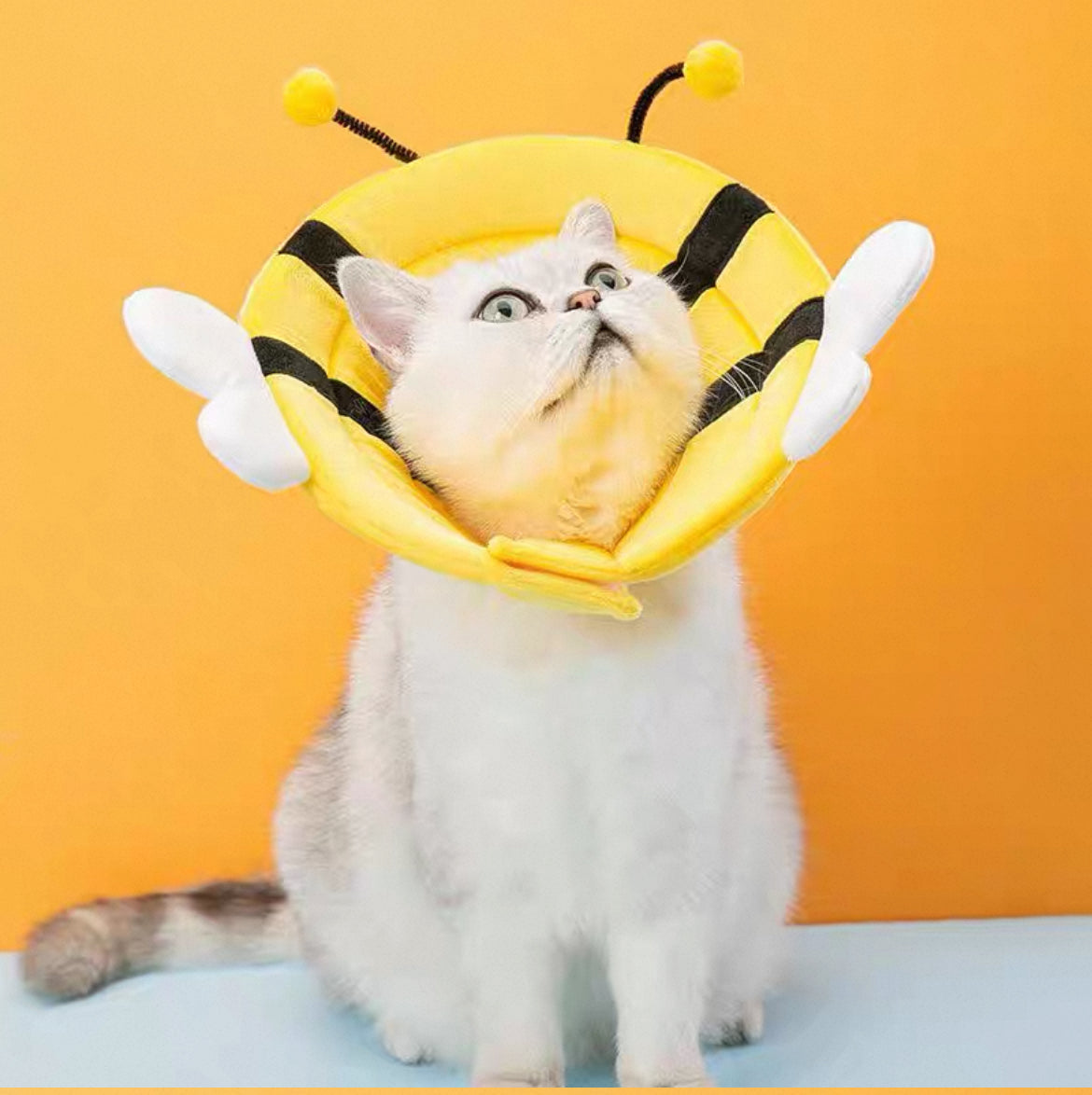 Adjustable Soft Pet Cone [Bee]