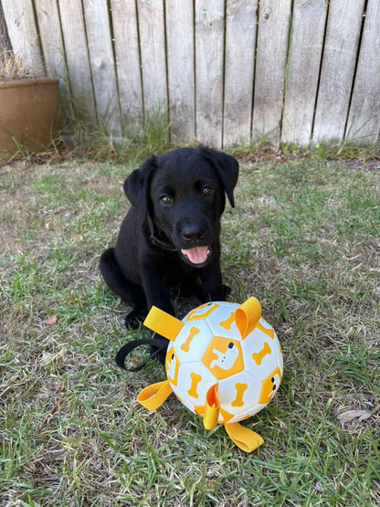 Tug & Play Pet Soccer Ball [White & Yellow]