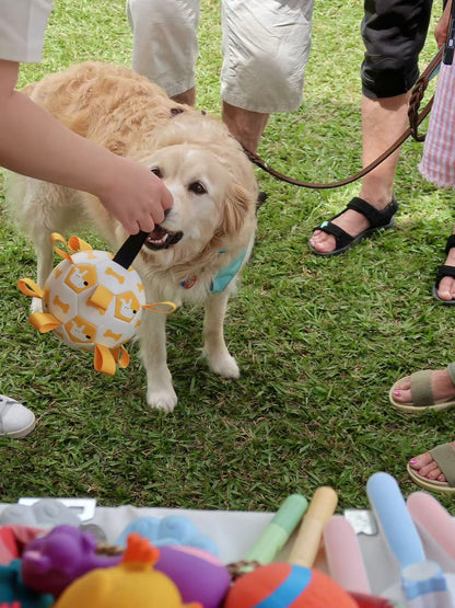 Tug & Play Pet Soccer Ball [White & Yellow]