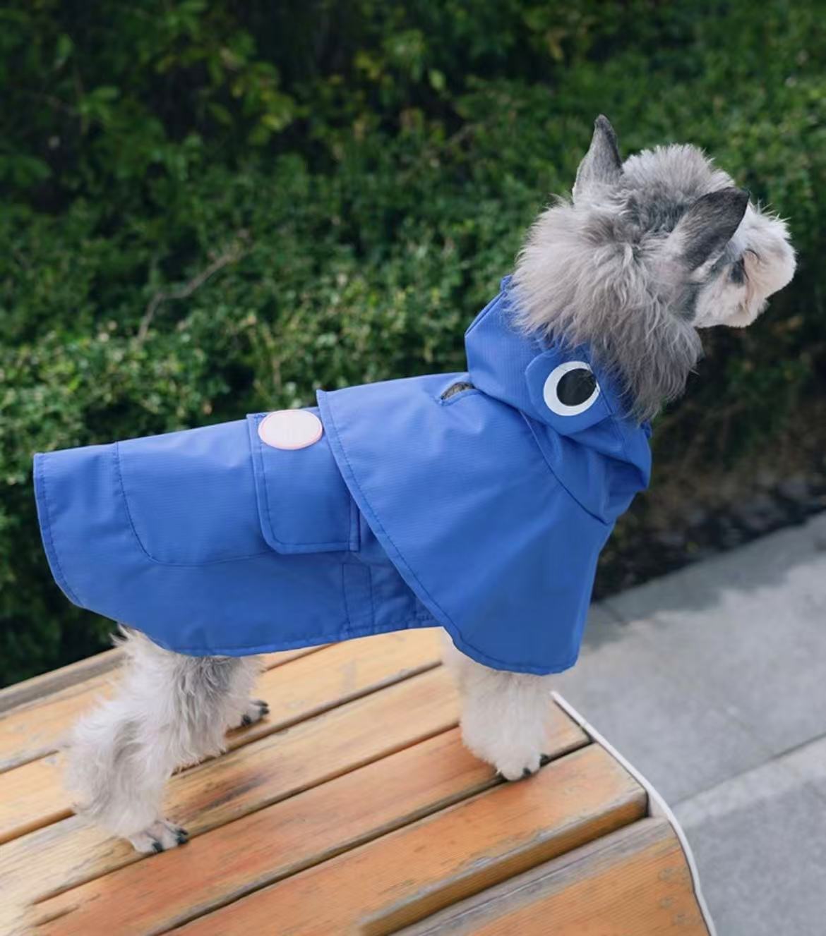 Dinosaur Dog Raincoat [Blue]