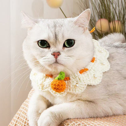 Knitted Pet Scarf