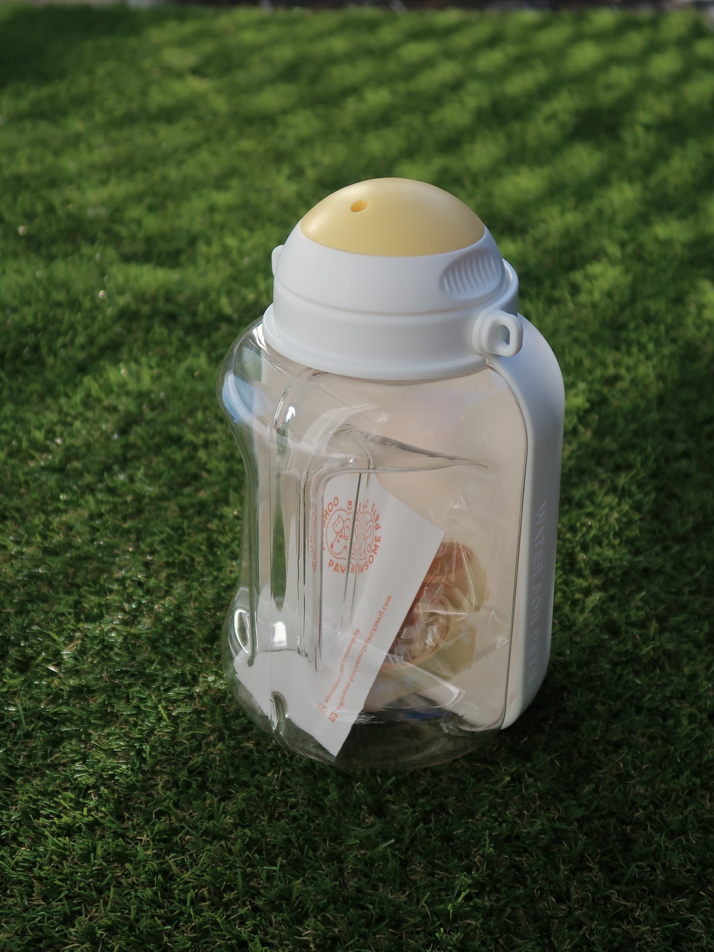 1L Outdoor Pup Water Bottle [Creamy White]