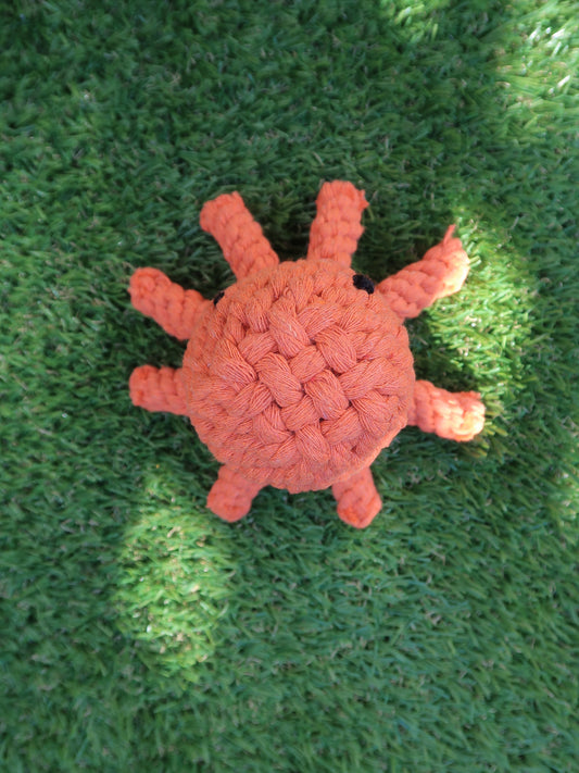 Rope Toys
