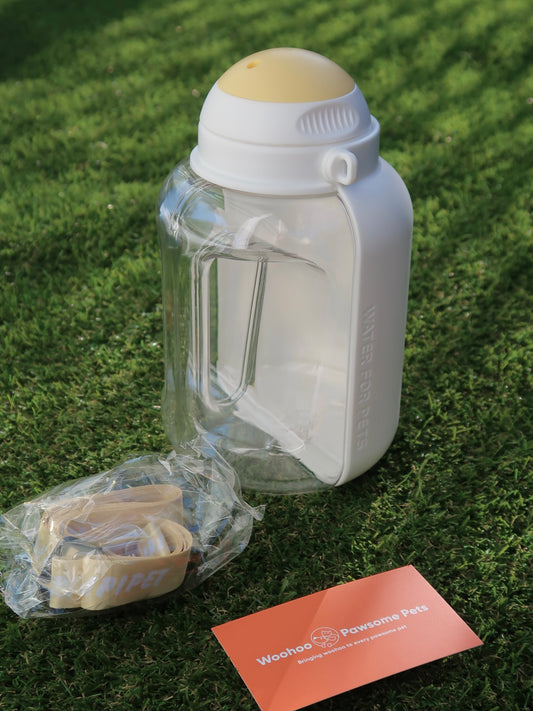 1L Outdoor Pup Water Bottle [Creamy White]