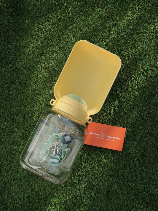 1L Outdoor Pup Water Bottle [Mustard Yellow]