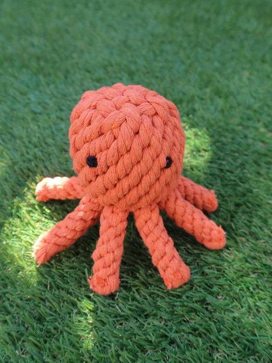 Rope Toys