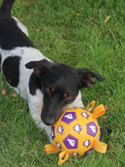 Tug & Play Pet Soccer Ball [Yellow & Purple]