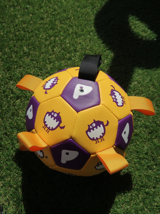 Tug & Play Pet Soccer Ball [Yellow & Purple]