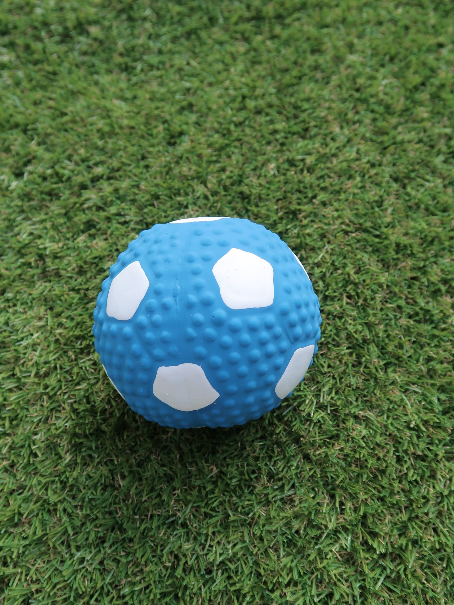 Dog Squeaky Toys - Ball Collection