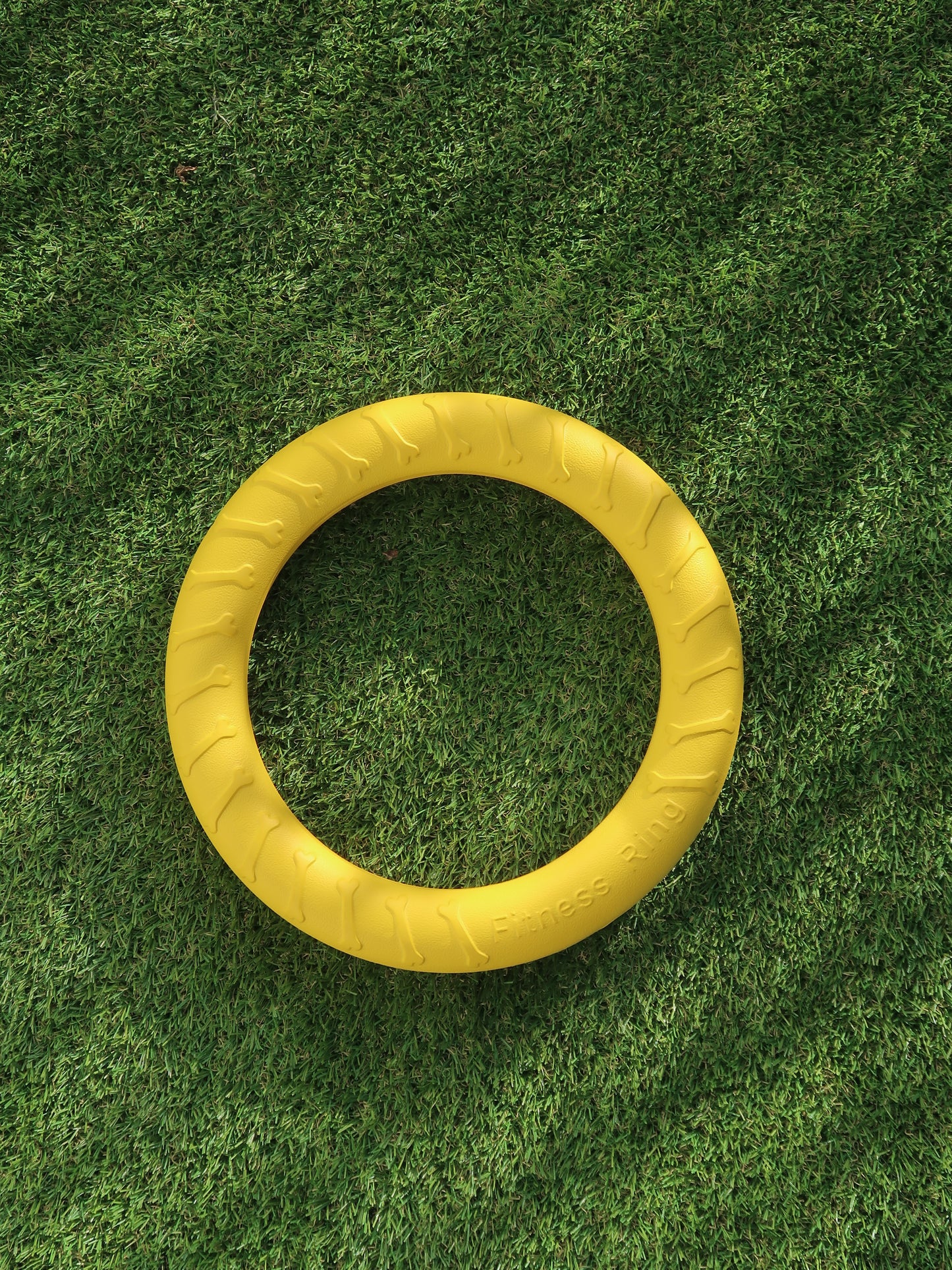 EVA Dog Fitness Ring