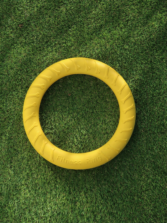 EVA Dog Fitness Ring