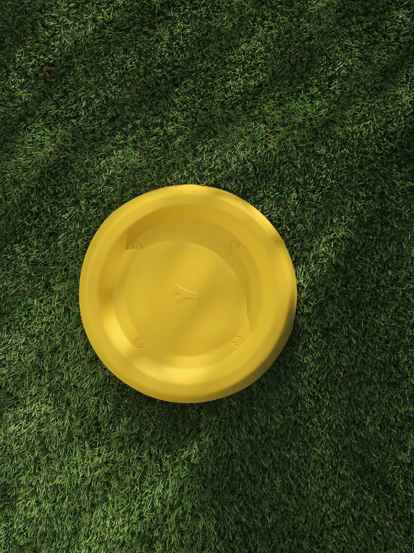 EVA Dog Frisbee