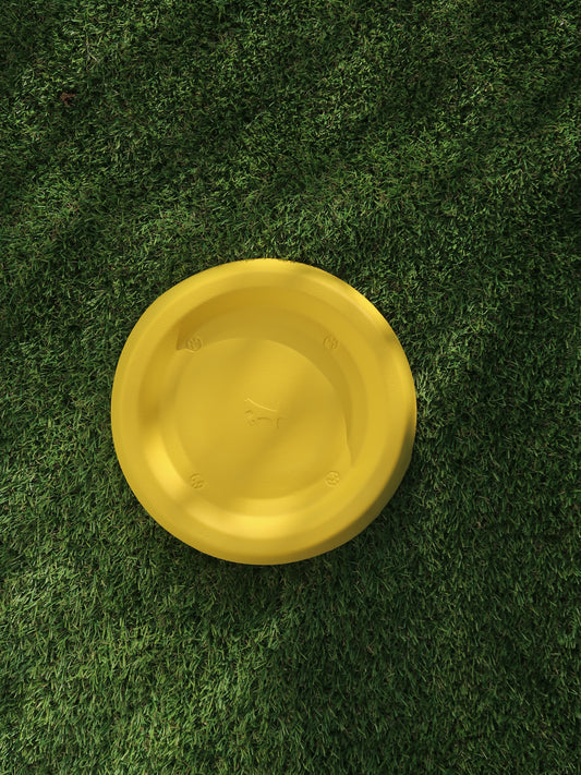 EVA Dog Frisbee