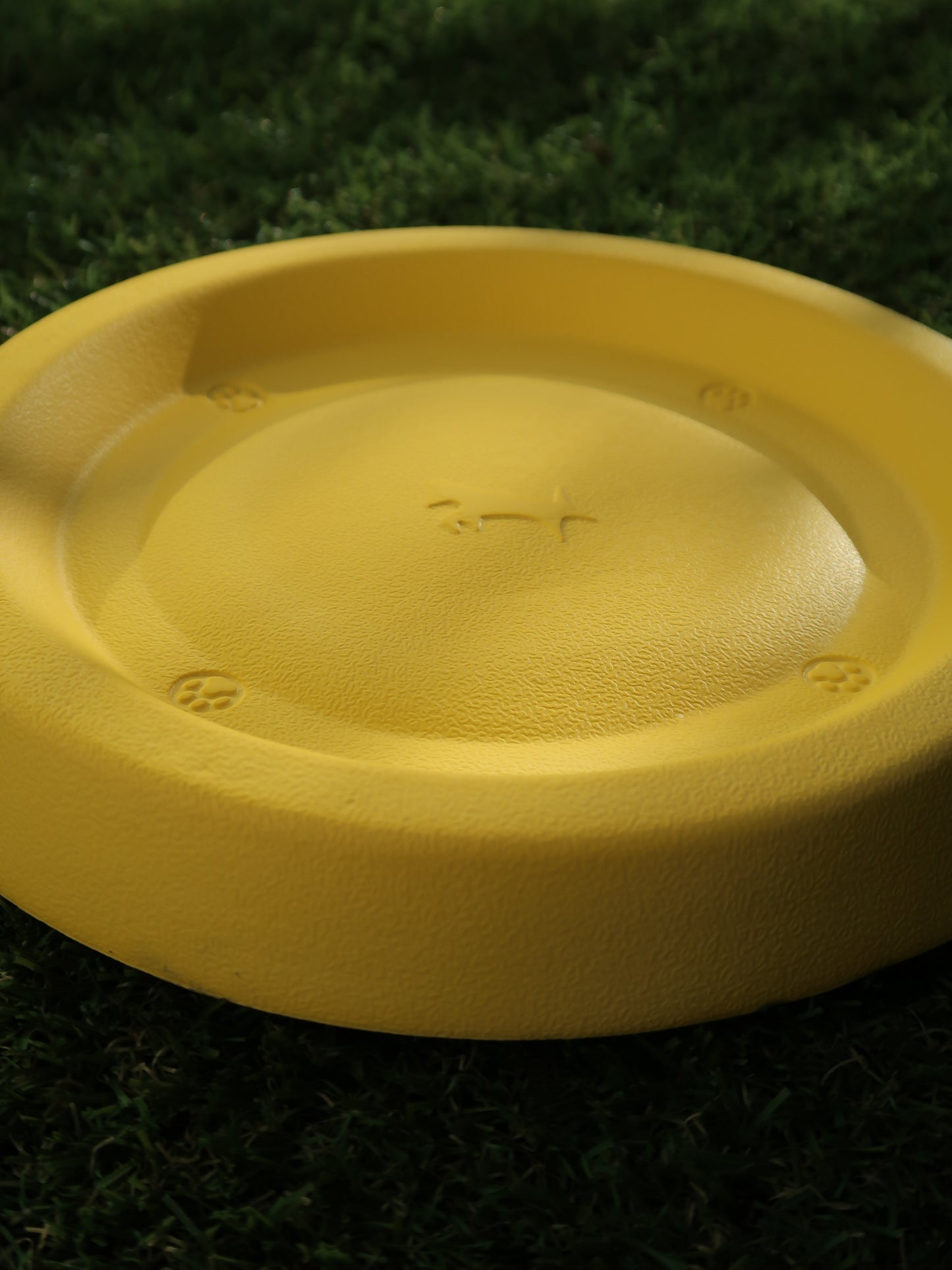 EVA Dog Frisbee