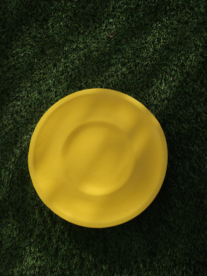EVA Dog Frisbee
