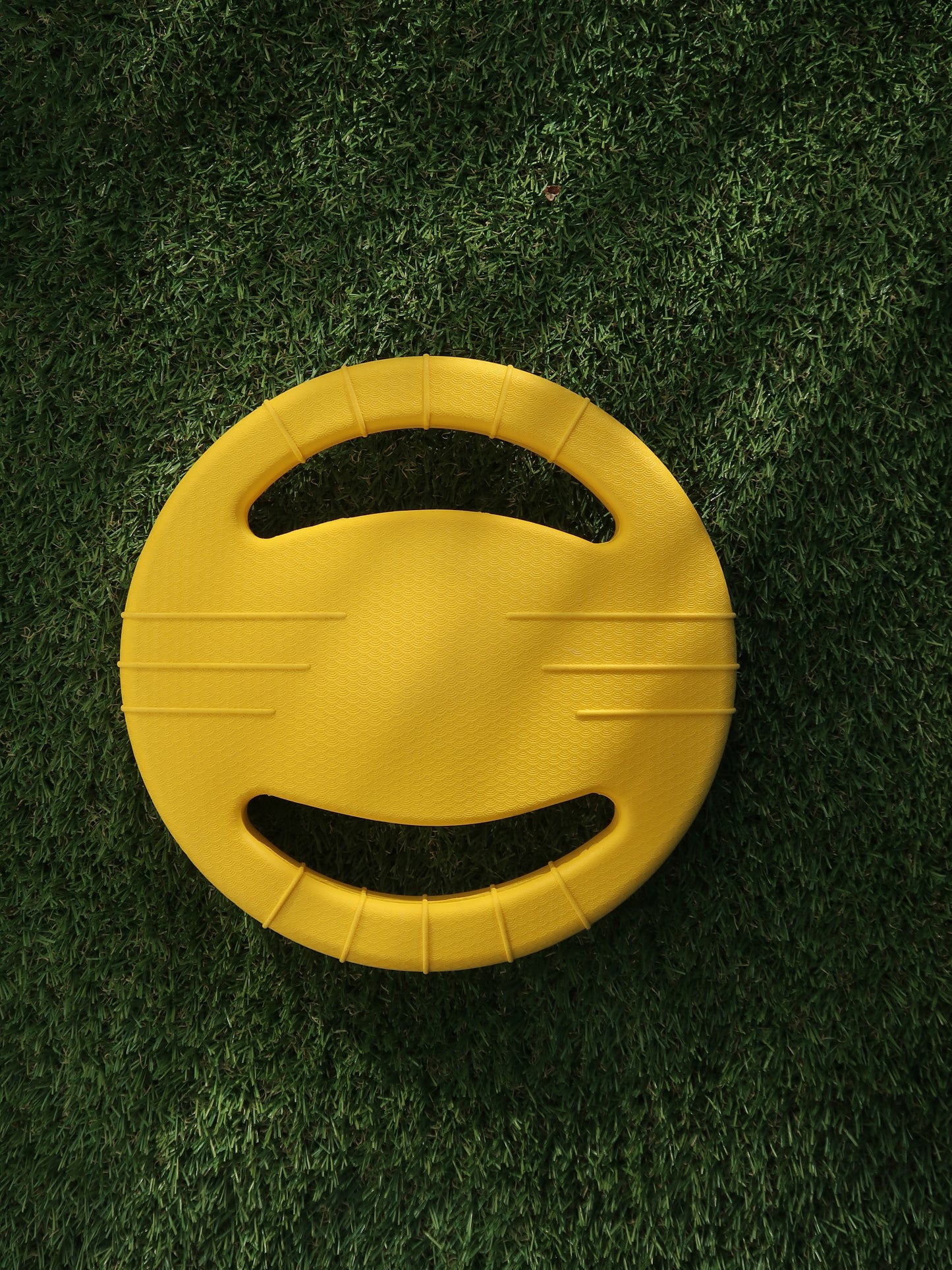 EVA Dog Tug and War Ring & Frisbees
