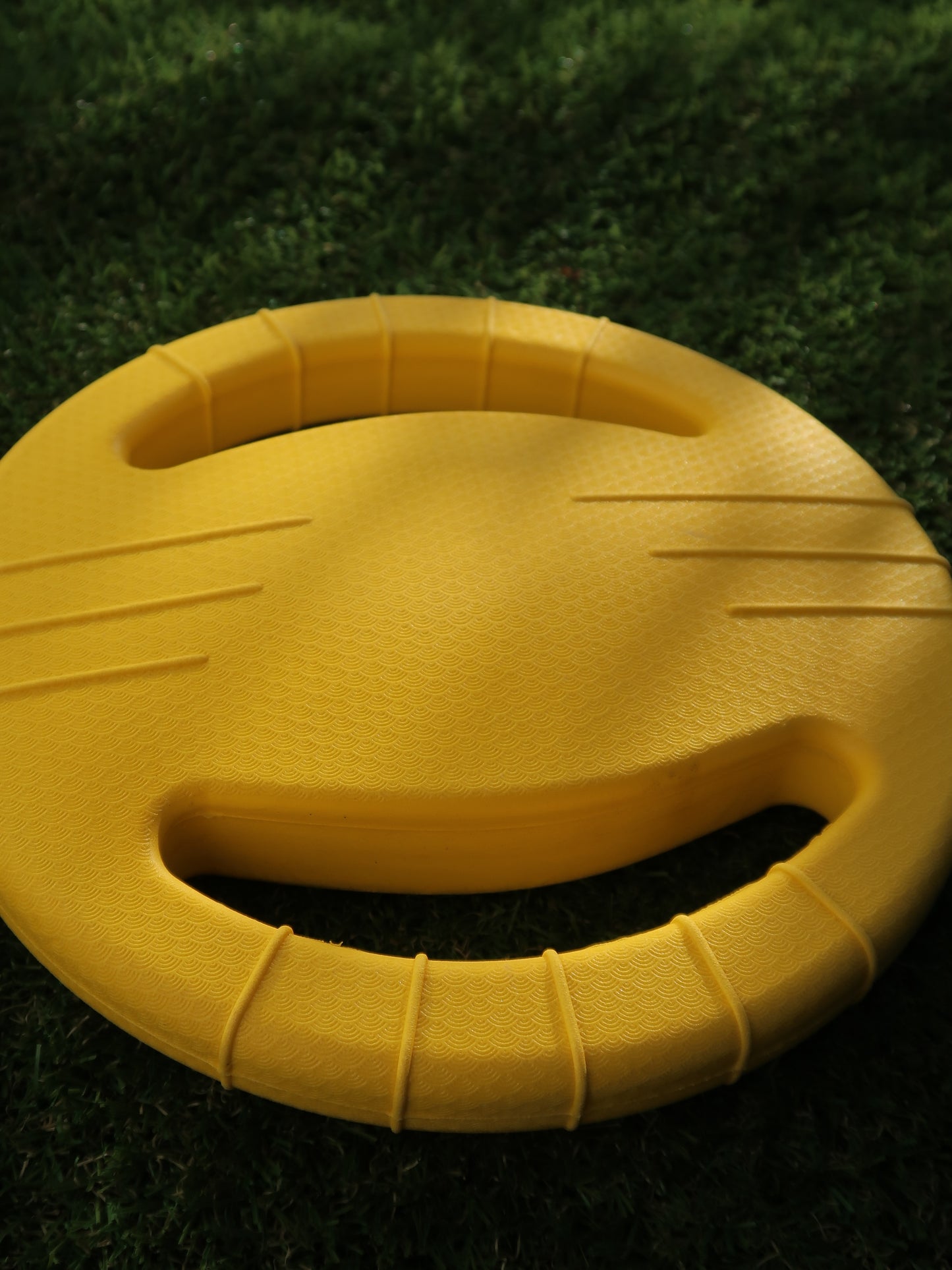 EVA Dog Tug and War Ring & Frisbees