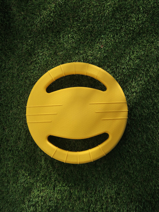 EVA Dog Tug and War Ring & Frisbees