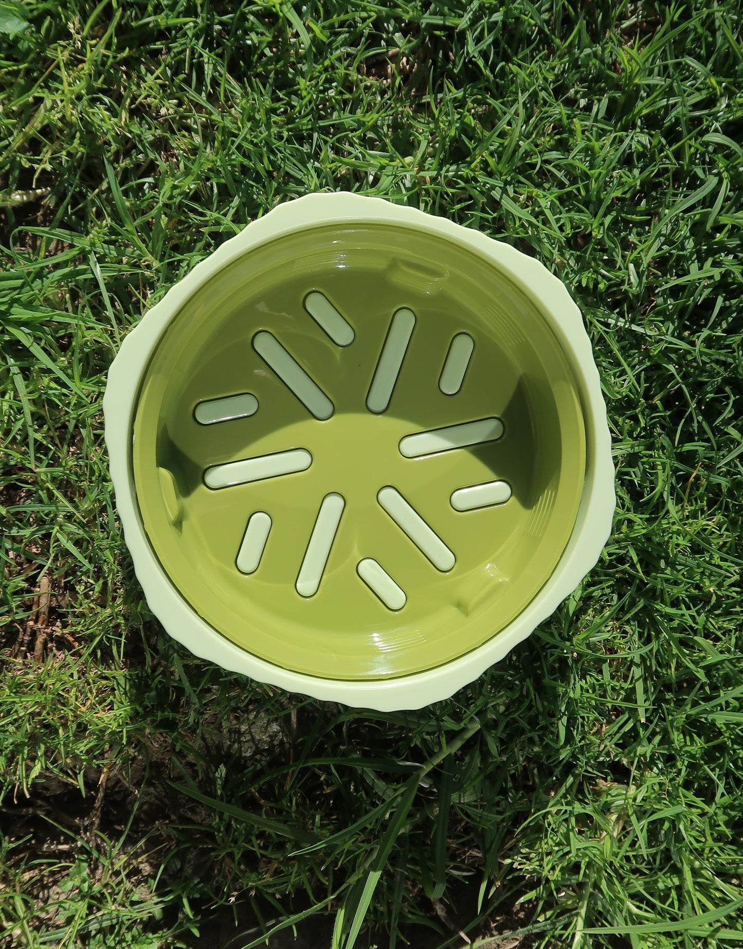 Two-way Slow Feeder Bowl [Matcha Green]