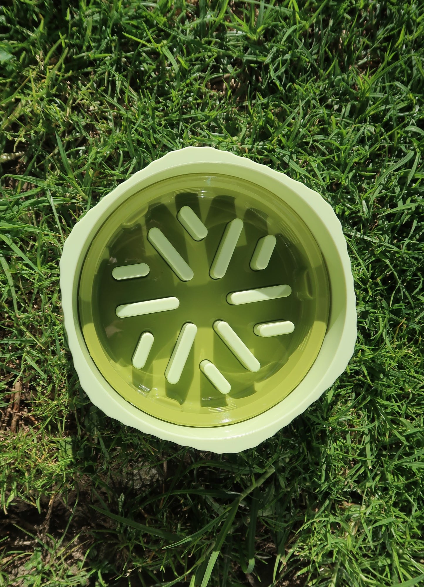 Two-way Slow Feeder Bowl [Matcha Green]