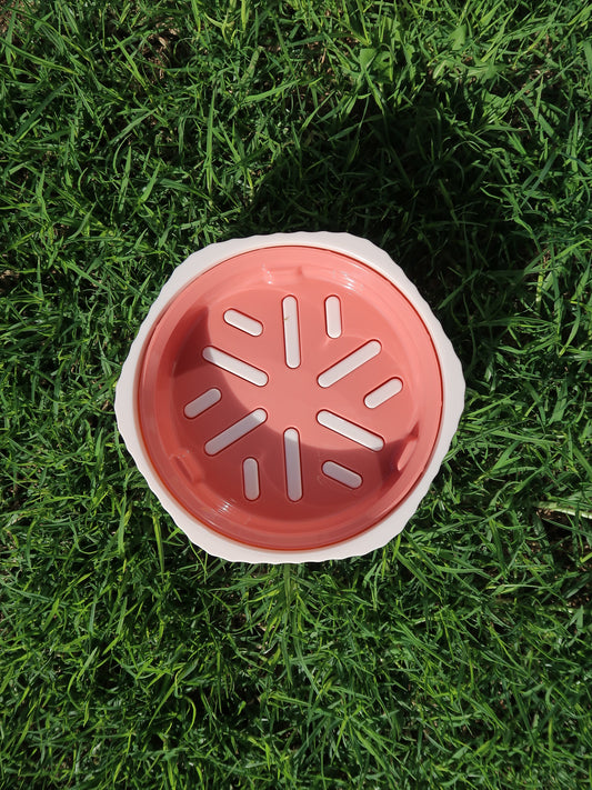 Two-way Slow Feeder Bowl [Strawberry]