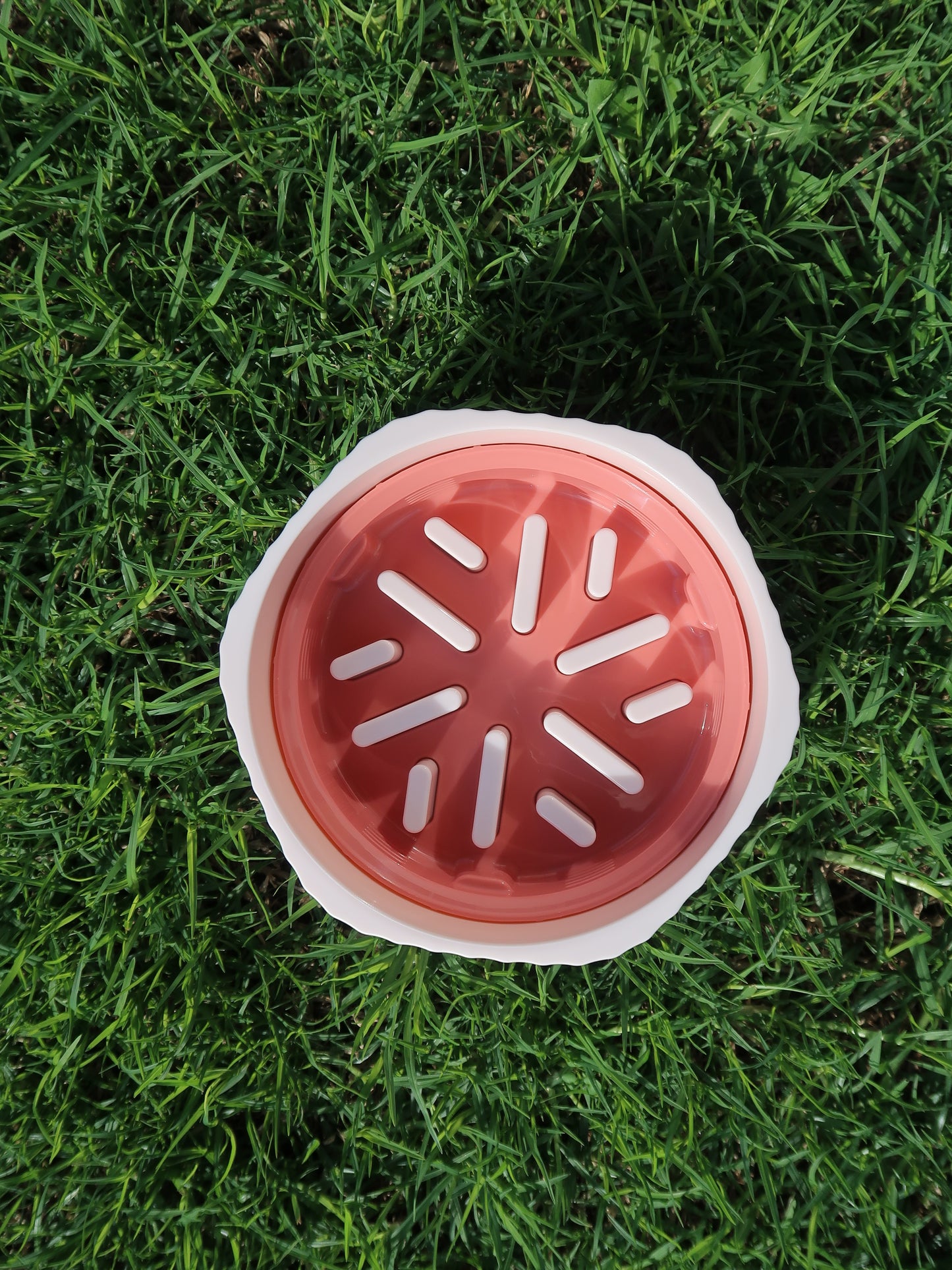 Two-way Slow Feeder Bowl [Strawberry]