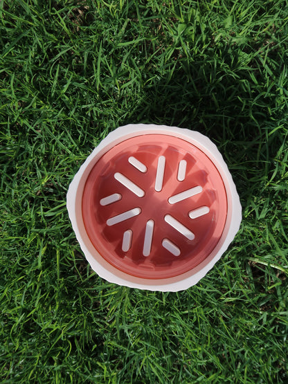 Two-way Slow Feeder Bowl [Strawberry]