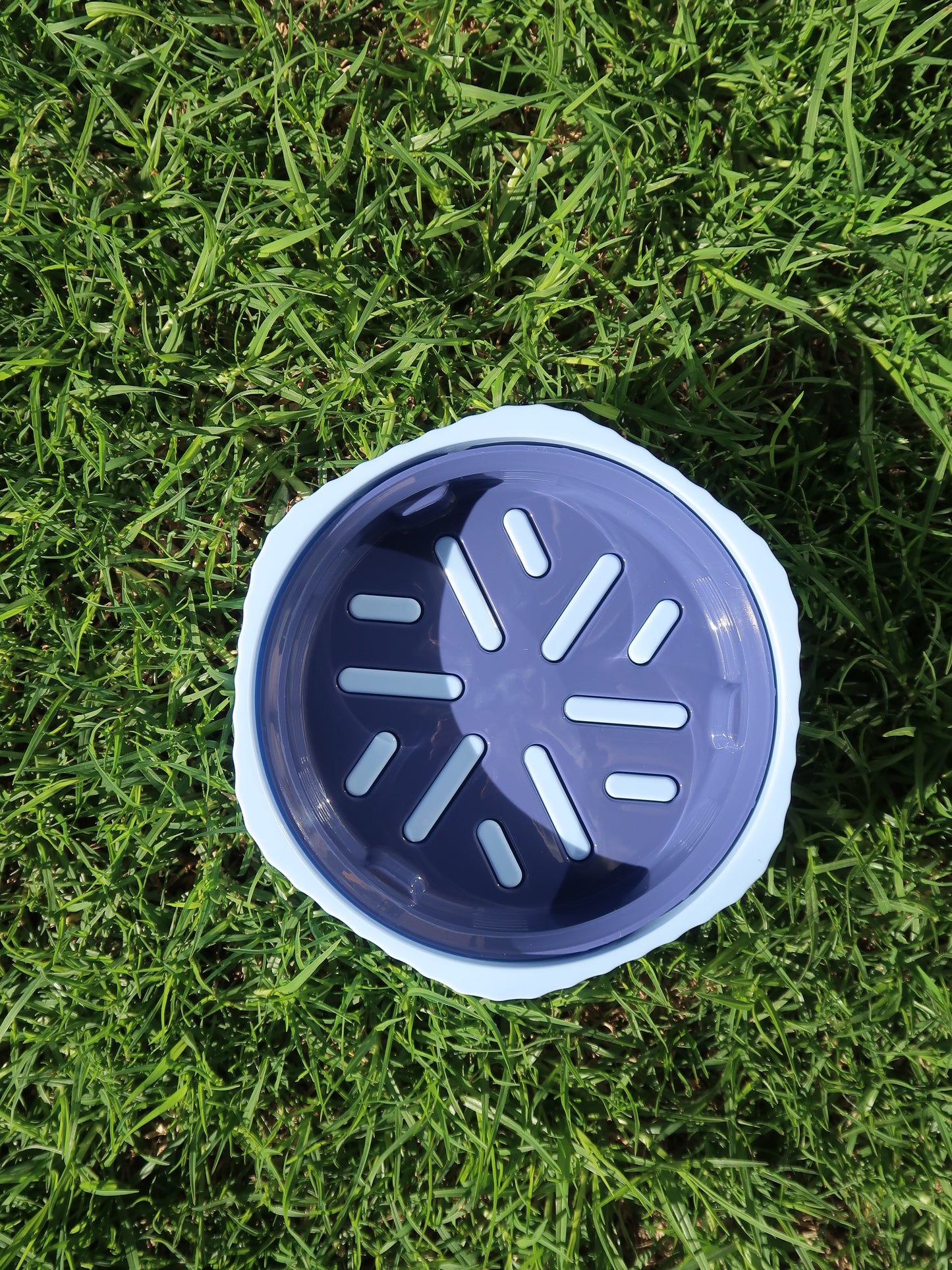 Two-way Slow Feeder Bowl [Ocean Blue]