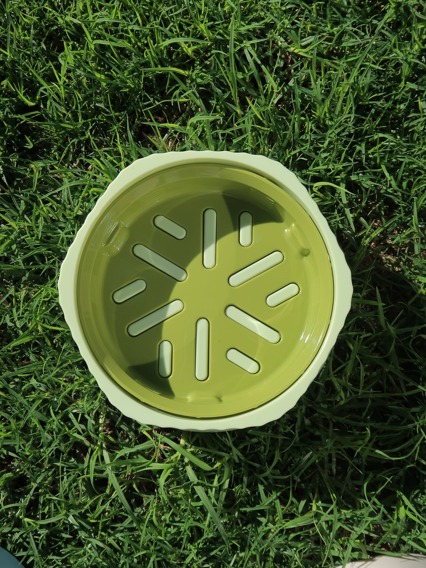 Two-way Slow Feeder Bowl [Matcha Green]