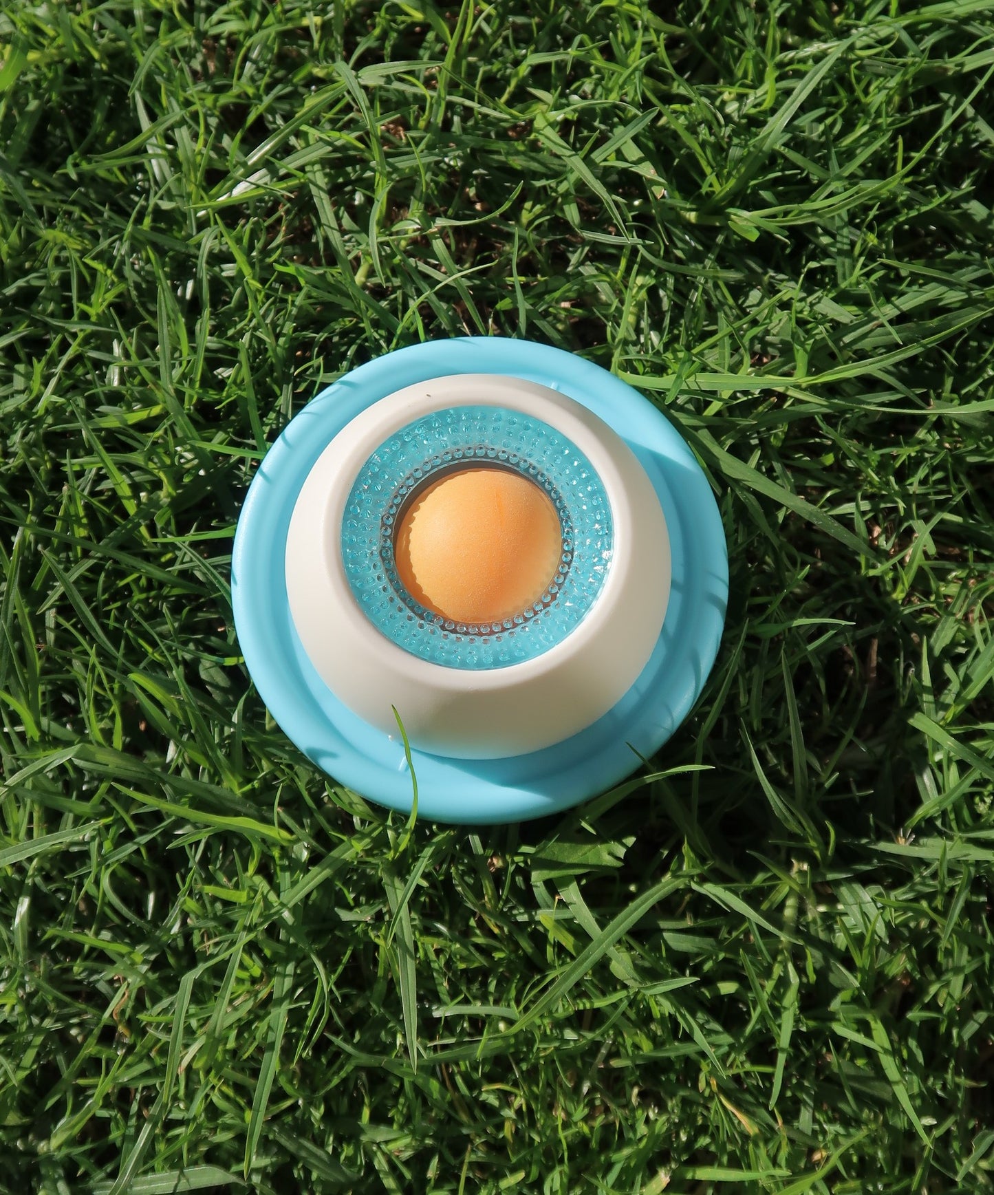 Licki Bowl™