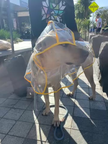 ClearView Dog Raincoats