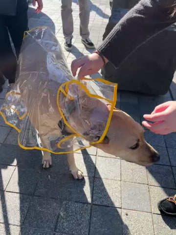 ClearView Dog Raincoats