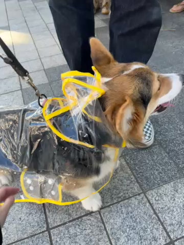 ClearView Dog Raincoats